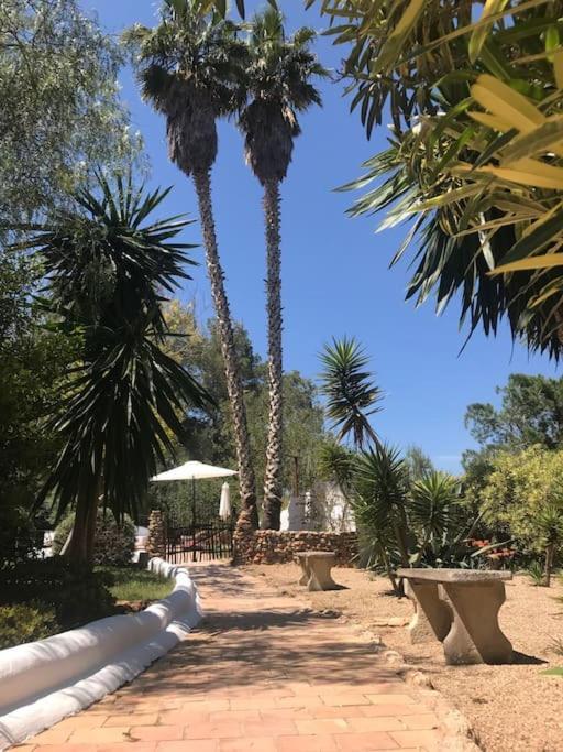 Casa Rosada - Gorgeous Family Finca Near Santa Gertrudis Βίλα Santa Gertrudis  Εξωτερικό φωτογραφία