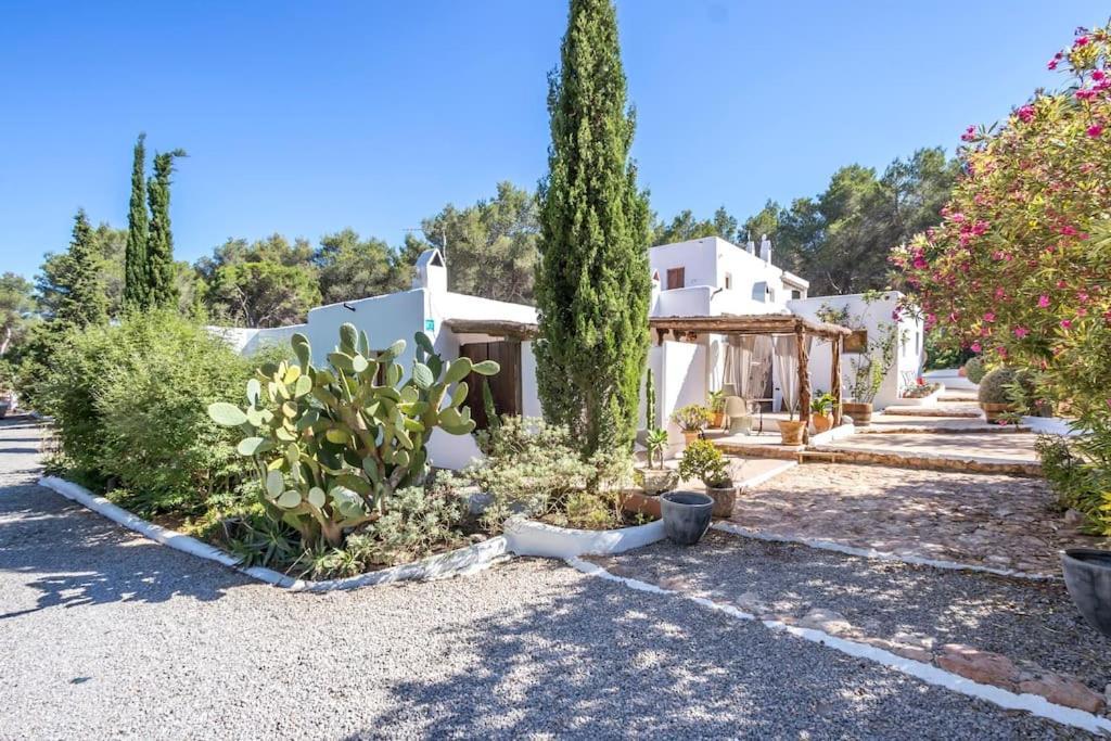 Casa Rosada - Gorgeous Family Finca Near Santa Gertrudis Βίλα Santa Gertrudis  Εξωτερικό φωτογραφία